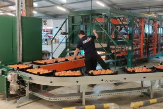 VDL Groep acquires Crux Agribotics, strengthening its position in Foodtech